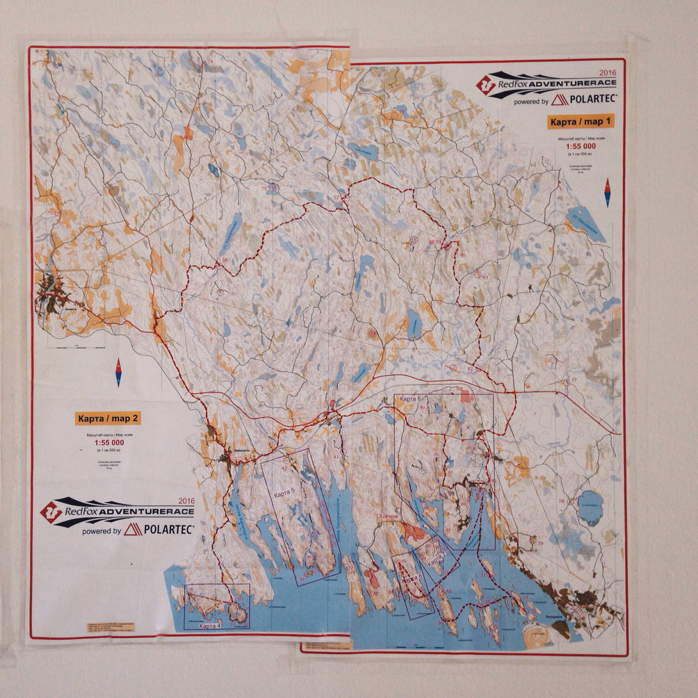 Россия – Red Fox Adventure Race