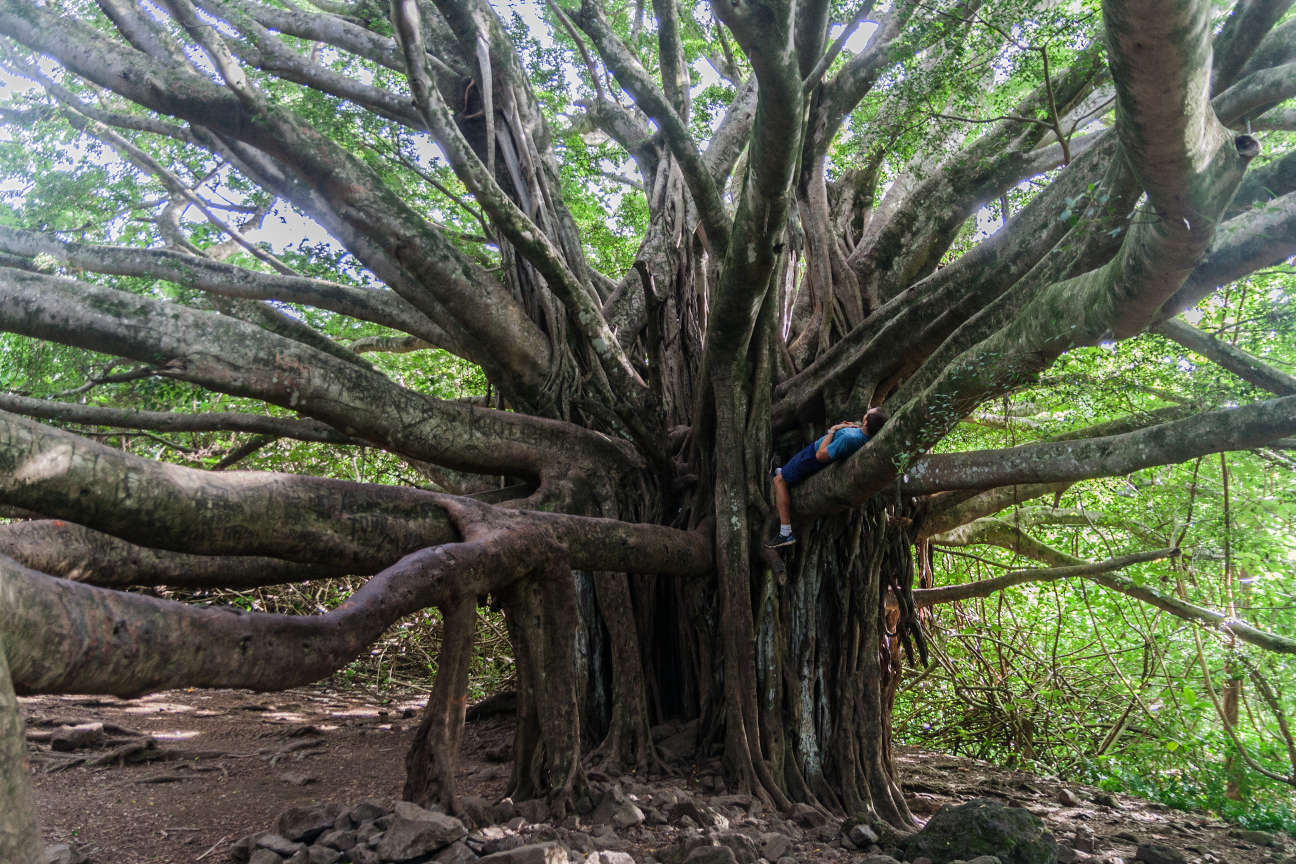 USA – Hawaii – Maui