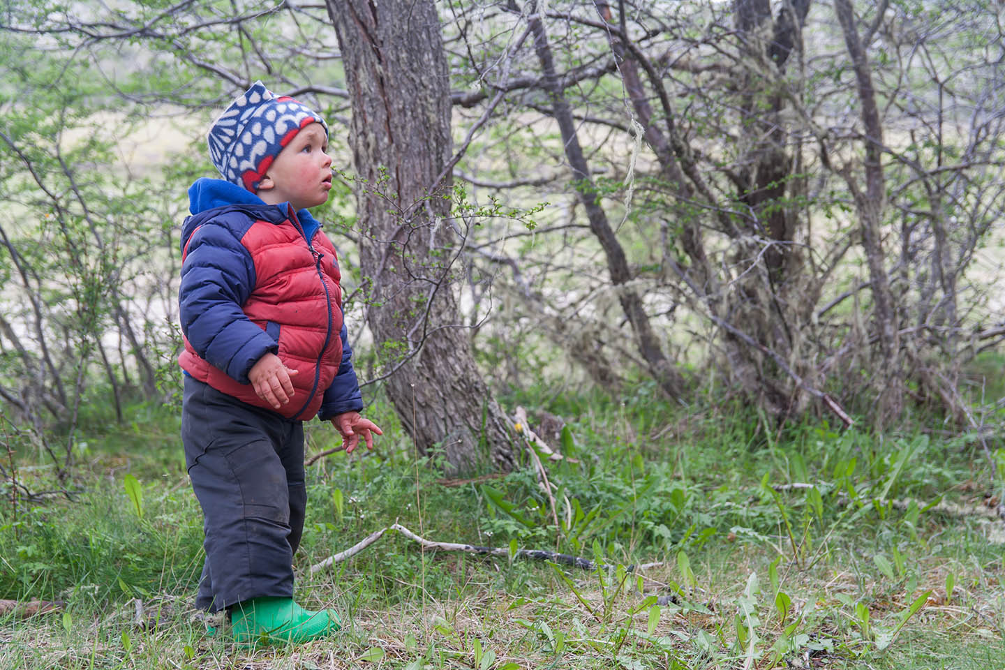 Патагония на велосипедах – от Punta Arenas до Ushuaia