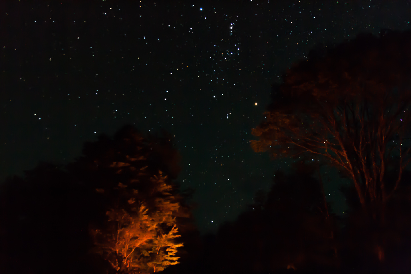 Carretera Austral – чилийская “южная дорога”