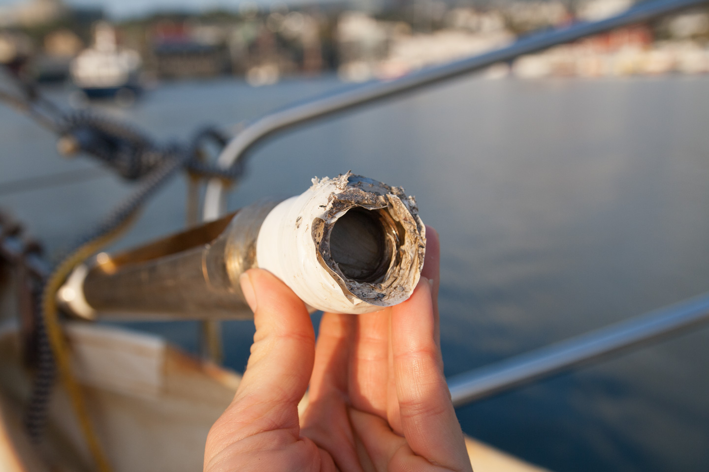 На яхте Петр I от Исландии до Норвегии