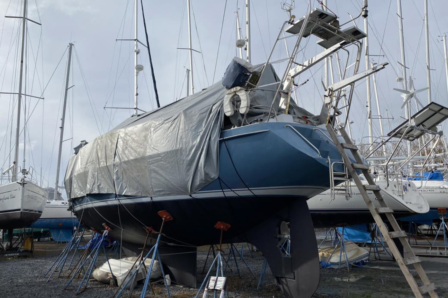 Searching for a perfect sailboat