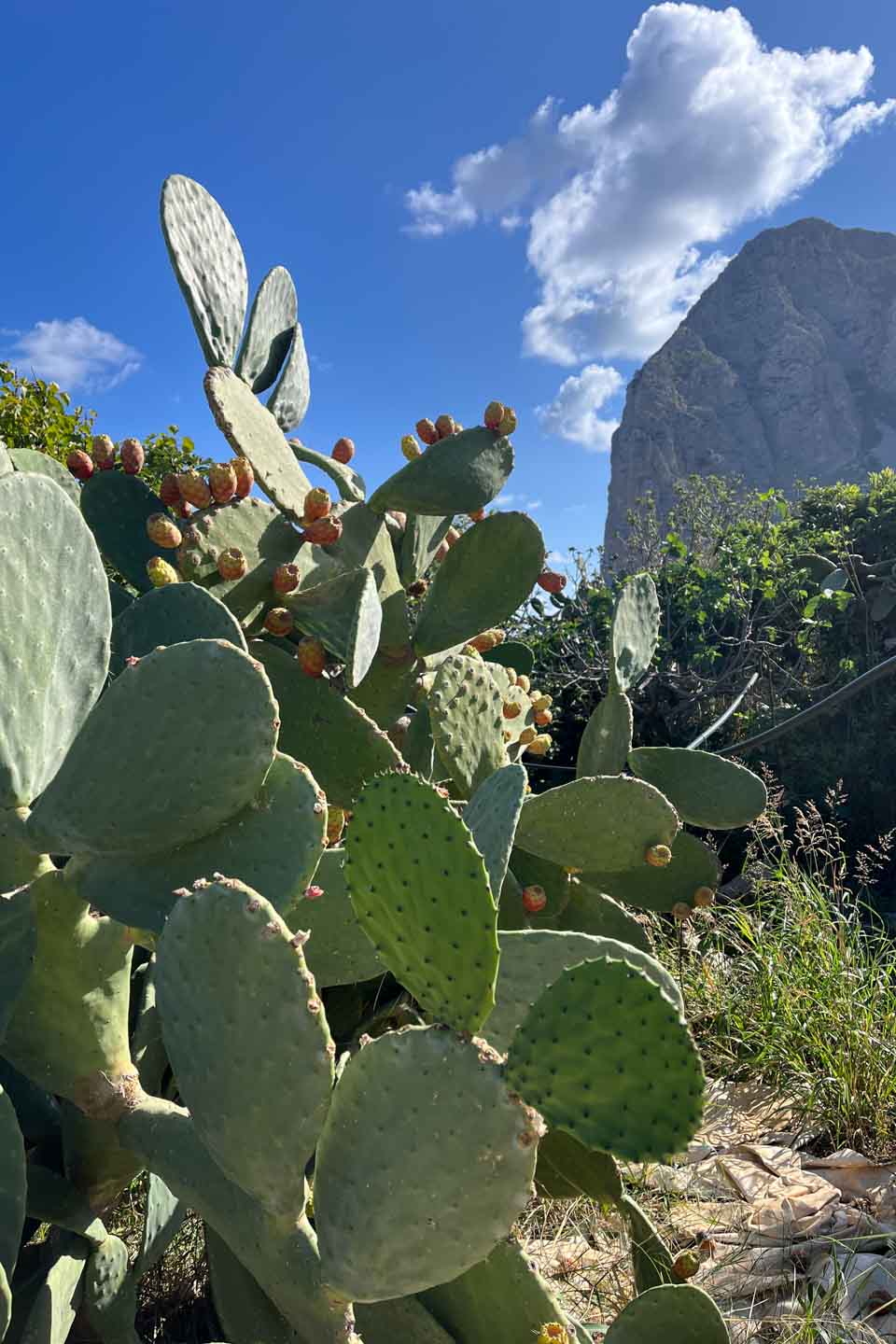 Gibraltar - South Spain - Balearics - Sicily