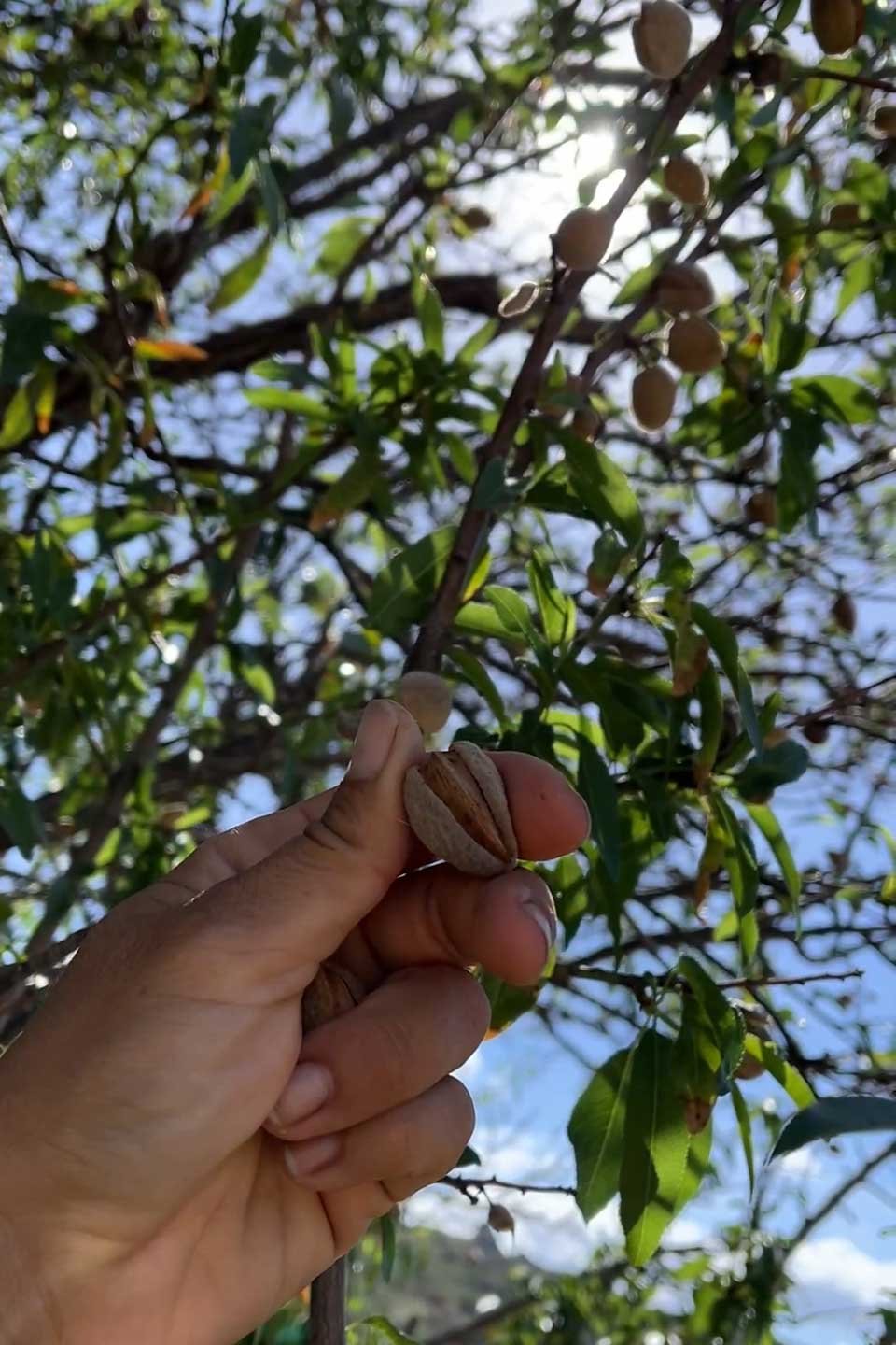 Gibraltar - South Spain - Balearics - Sicily