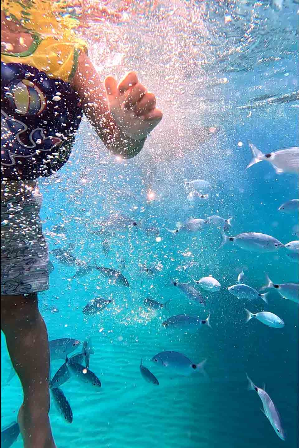 Gibraltar - South Spain - Balearics - Sicily