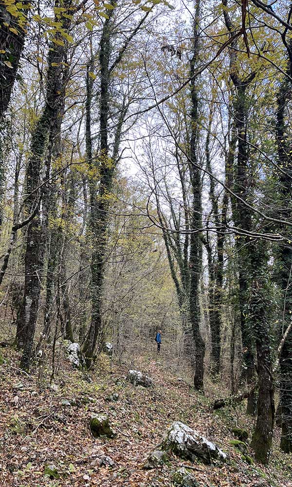 Wintering in Montenegro