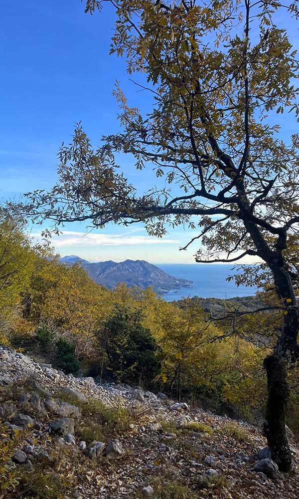 Wintering in Montenegro