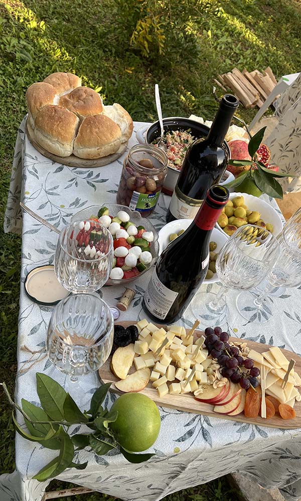 Wintering in Montenegro